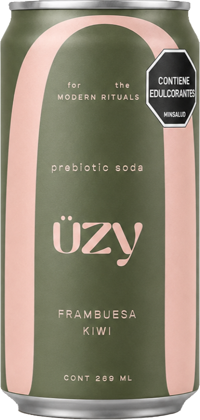 Lata üzy Üzy Frambuesa Kiwi - 295ml